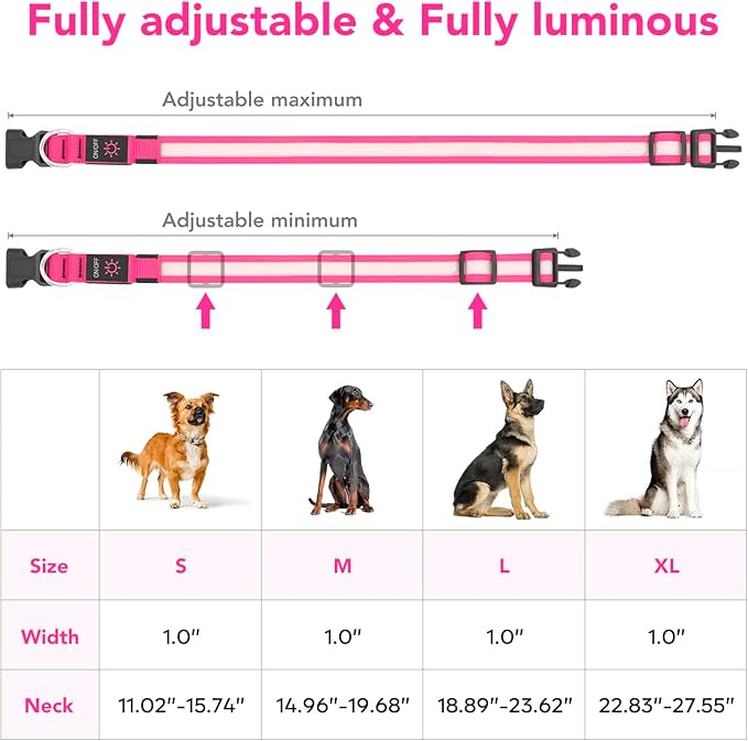 LED Dog Collar – USB Rechargeable Light-Up Safety Collar for Dogs, Adjustable Super Bright Glow for Night Walking (Pink and Blue)