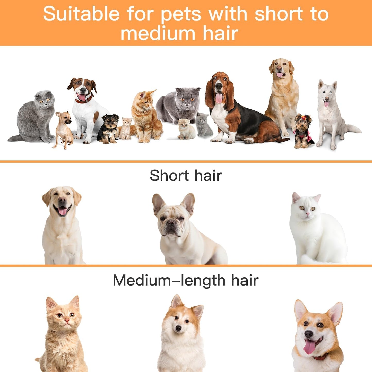 Dog Grooming Vacuum Kit β 12,000Pa Powerful Pet Hair Remover with 2L Large Dust Cup, Low-Noise Shedding & Trimming System for Dogs and Cats