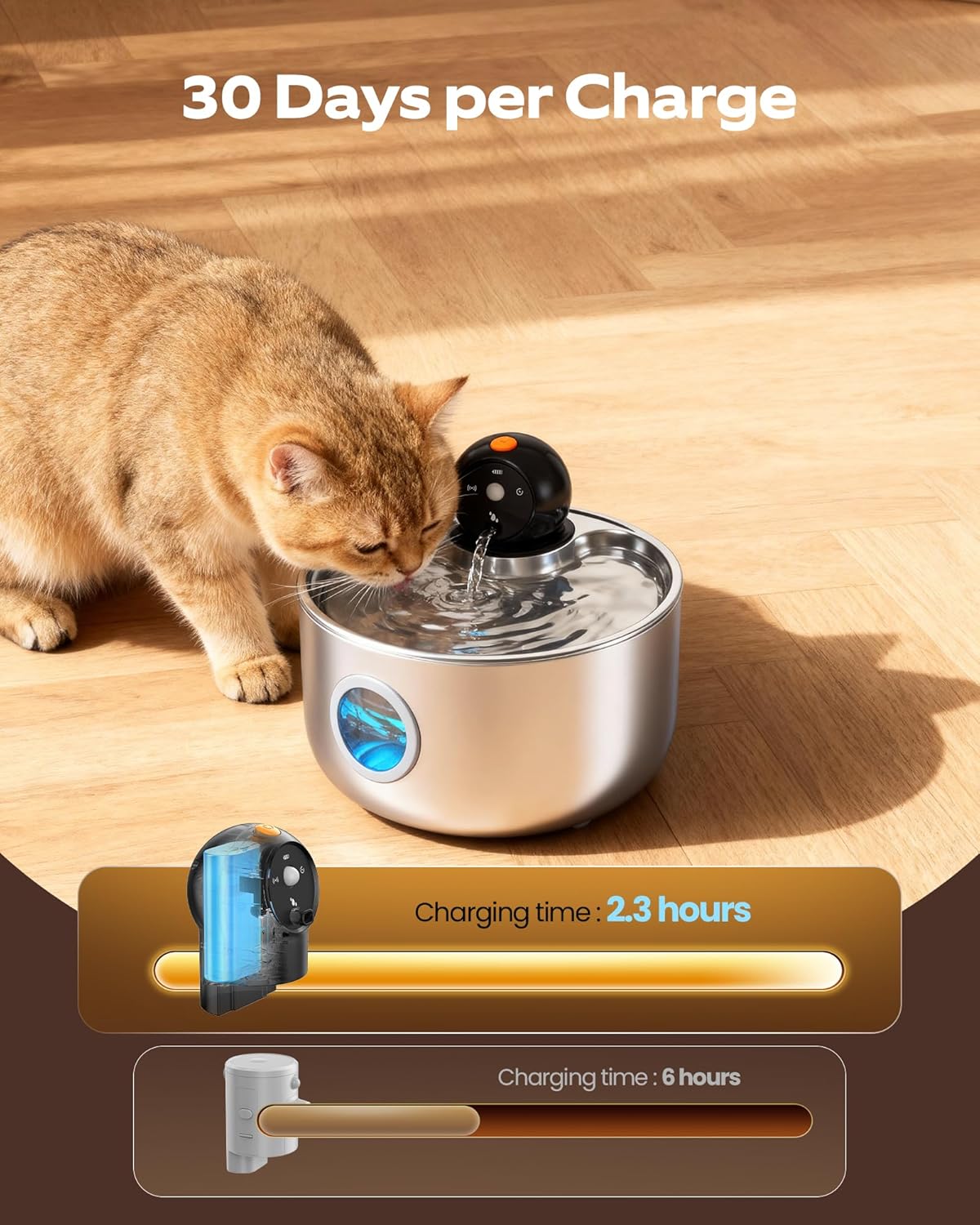 Wireless Stainless Steel Cat Water Fountain | Quiet & Filtered with Motion Sensor 