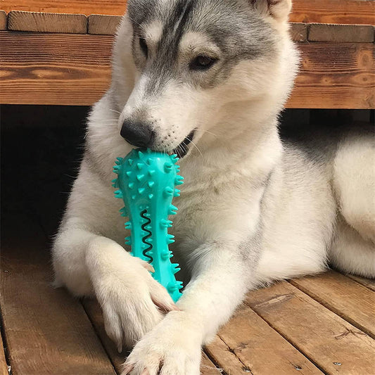 Durable Dog Chew Toy – Rubber Molar Stick for Teeth Cleaning & Dental Health (For Strong Chewers)