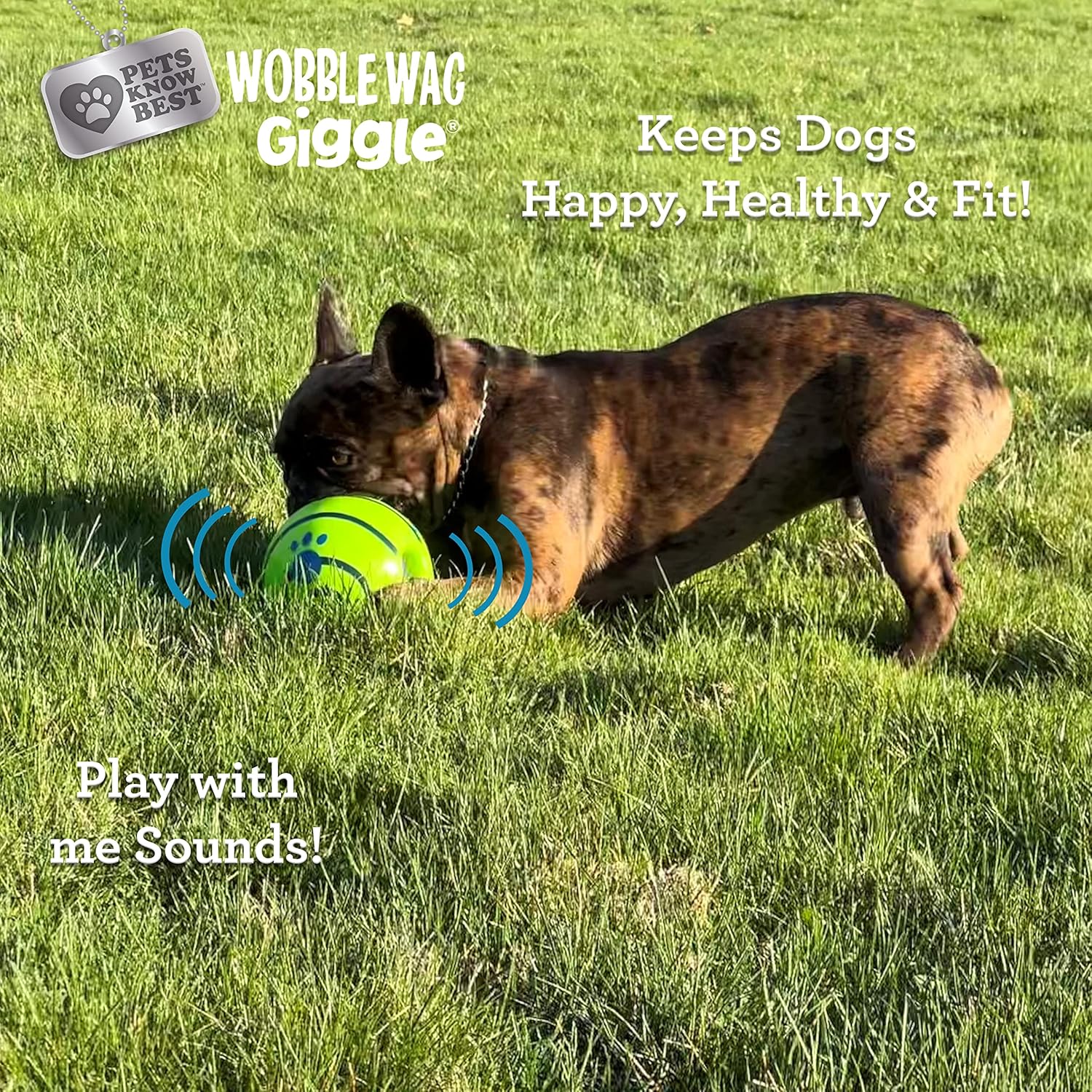 Wobble Wag Giggle Ball for Dogs – Fun Rolling Enrichment Toy That Keeps Pets Active Indoors or Outdoors