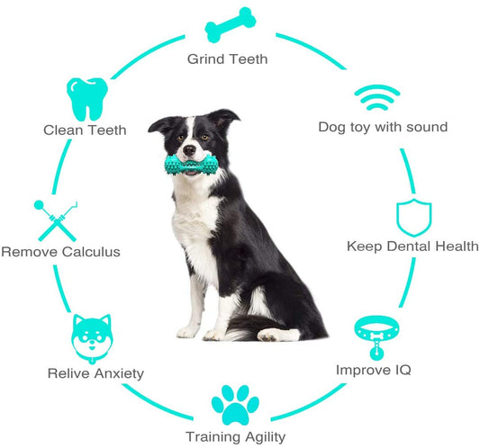 Durable Dog Chew Toy – Rubber Molar Stick for Teeth Cleaning & Dental Health (For Strong Chewers)